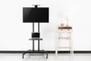 Newstar 91-T1037M TV Cart, Supports 37" to 70" TV, Up to 50kg Max Weight Capacity, Height Adjustable, Heavy-Duty Casters, Toolless Tilt, +10° to -10° Tilt Range, Cable Management, Black | 91-T1037M