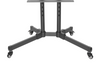 Newstar 91-T1028B TV Cart, Supports 37" to 70" TV, Up to 50kg Max Weight Capacity, Height Adjustable, +10° to -10° Tilt Range, Heavy-Duty Casters, Camera Shelf, AV Shelf, Black | 91-T1028B