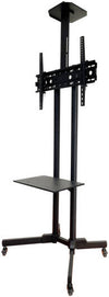 Newstar FS-601T TV Cart, Supports 32″ to 75" Flat & Curved TV's, Up to 50kg Max Weight Capacity, 600x400 VESA, 360° Rotating Casters, Black | FS-601T